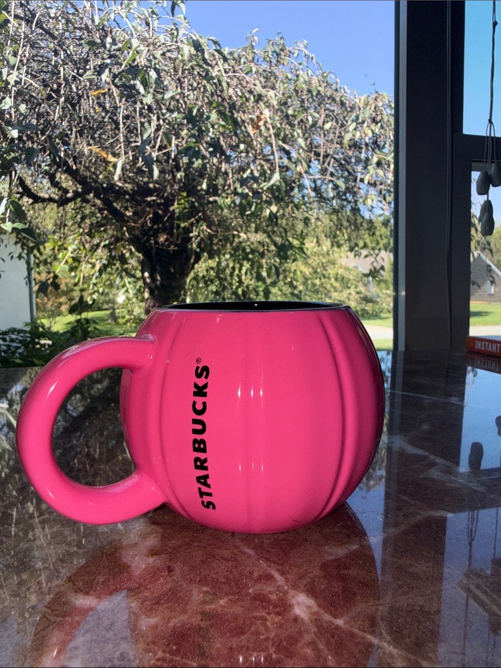 Starbucks Fall 2023 Neon Hot Pink Pumpkin Mug (12 oz